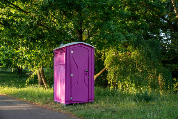 Best Affordable portable toilet rental  in Grayvle, IL